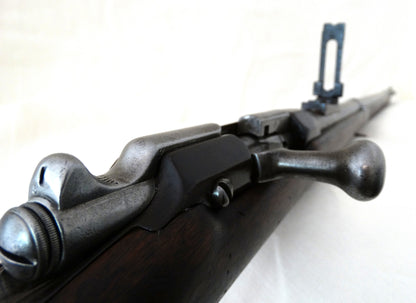 FRANCE. Gras Infantry Rifle Model 1866/74